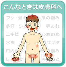 こんなときは皮膚科へ